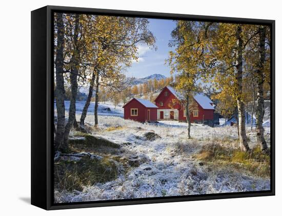 Norway, Valldalen, Farm, Birches, Late Autumn-Rainer Mirau-Framed Stretched Canvas