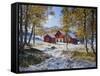 Norway, Valldalen, Farm, Birches, Late Autumn-Rainer Mirau-Framed Stretched Canvas