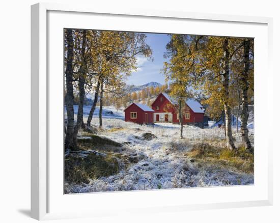 Norway, Valldalen, Farm, Birches, Late Autumn-Rainer Mirau-Framed Photographic Print