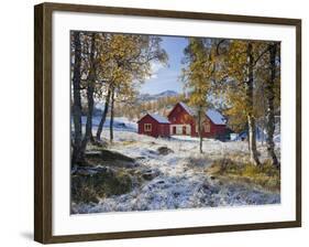 Norway, Valldalen, Farm, Birches, Late Autumn-Rainer Mirau-Framed Photographic Print