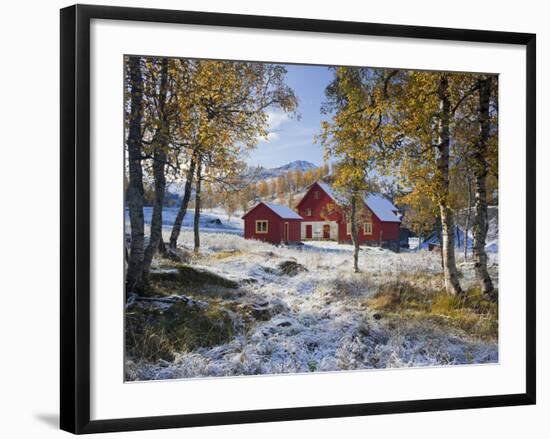 Norway, Valldalen, Farm, Birches, Late Autumn-Rainer Mirau-Framed Photographic Print