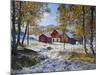 Norway, Valldalen, Farm, Birches, Late Autumn-Rainer Mirau-Mounted Photographic Print