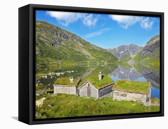 Norway, Western Fjords, Sogn Og Fjordane, Sheep Infront of Traditional Cottages by Lake-Shaun Egan-Framed Stretched Canvas