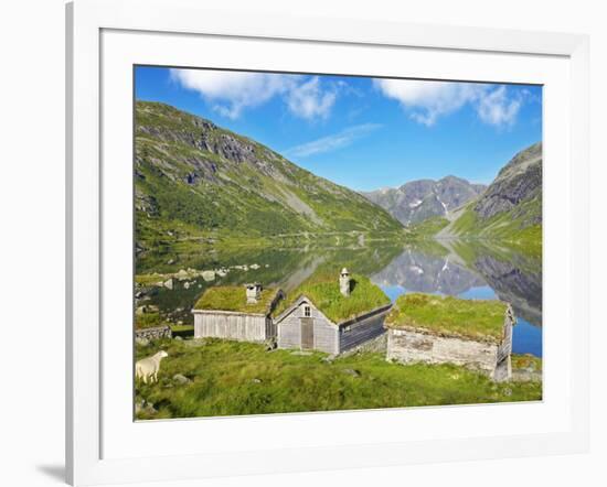 Norway, Western Fjords, Sogn Og Fjordane, Sheep Infront of Traditional Cottages by Lake-Shaun Egan-Framed Photographic Print