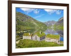 Norway, Western Fjords, Sogn Og Fjordane, Sheep Infront of Traditional Cottages by Lake-Shaun Egan-Framed Photographic Print