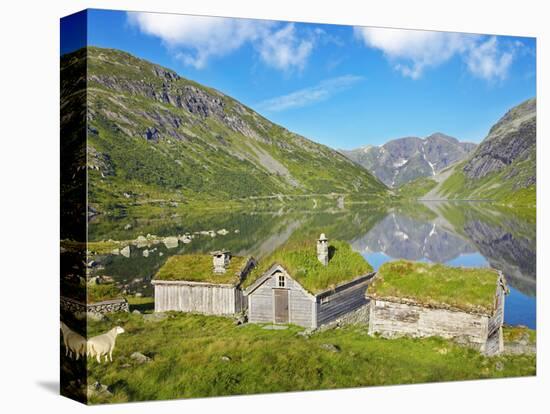 Norway, Western Fjords, Sogn Og Fjordane, Sheep Infront of Traditional Cottages by Lake-Shaun Egan-Stretched Canvas