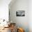 Norway-Maciej Duczynski-Mounted Photographic Print displayed on a wall