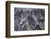 Norway-Art Wolfe-Framed Photographic Print