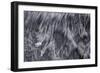 Norway-Art Wolfe-Framed Photographic Print