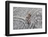 Norway-Art Wolfe-Framed Photographic Print