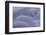 Norway-Art Wolfe-Framed Photographic Print