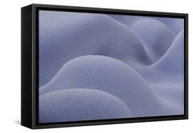 Norway-Art Wolfe-Framed Stretched Canvas