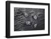 Norway-Art Wolfe-Framed Photographic Print