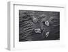 Norway-Art Wolfe-Framed Photographic Print