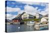 Norwegian Cod Fishing Town of Reine, Lofoton Islands, Norway, Scandinavia, Europe-Michael Nolan-Stretched Canvas