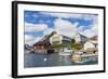 Norwegian Cod Fishing Town of Reine, Lofoton Islands, Norway, Scandinavia, Europe-Michael Nolan-Framed Photographic Print