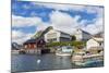 Norwegian Cod Fishing Town of Reine, Lofoton Islands, Norway, Scandinavia, Europe-Michael Nolan-Mounted Photographic Print