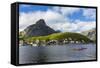 Norwegian Cod Fishing Town of Reine, Lofoton Islands, Norway, Scandinavia, Europe-Michael Nolan-Framed Stretched Canvas