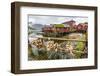 Norwegian Cod Fishing Town of Reine, Lofoton Islands, Norway, Scandinavia, Europe-Michael Nolan-Framed Photographic Print