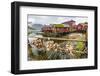 Norwegian Cod Fishing Town of Reine, Lofoton Islands, Norway, Scandinavia, Europe-Michael Nolan-Framed Photographic Print