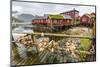 Norwegian Cod Fishing Town of Reine, Lofoton Islands, Norway, Scandinavia, Europe-Michael Nolan-Mounted Photographic Print