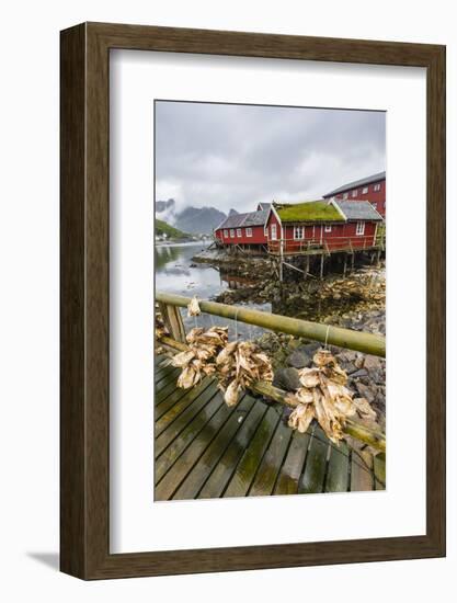 Norwegian Cod Fishing Town of Reine, Lofoton Islands, Norway, Scandinavia, Europe-Michael Nolan-Framed Photographic Print