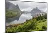 Norwegian Cod Fishing Town of Reine, Lofoton Islands, Norway, Scandinavia, Europe-Michael Nolan-Mounted Photographic Print