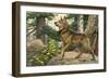 Norwegian Elkhound-null-Framed Art Print