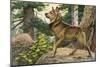 Norwegian Elkhound-null-Mounted Art Print