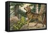 Norwegian Elkhound-null-Framed Stretched Canvas