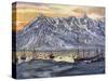 Norwegian Fishing Fleet-Nico Jungman-Stretched Canvas