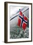 Norwegian Flag on a Boat-Felipe Rodríguez-Framed Photographic Print