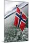 Norwegian Flag on a Boat-Felipe Rodríguez-Mounted Photographic Print