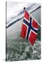 Norwegian Flag on a Boat-Felipe Rodríguez-Stretched Canvas