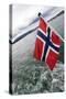 Norwegian Flag on a Boat-Felipe Rodríguez-Stretched Canvas