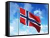 Norwegian Flag-laviana-Framed Stretched Canvas