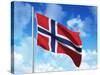 Norwegian Flag-laviana-Stretched Canvas