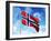 Norwegian Flag-laviana-Framed Photographic Print