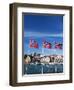 Norwegian Flags and Historic Harbour Warehouses, Stavanger, Norway, Scandinavia, Europe-Christian Kober-Framed Premium Photographic Print