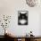 Norwegian Forest Black and White-null-Framed Stretched Canvas displayed on a wall