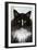 Norwegian Forest Black and White-null-Framed Photographic Print