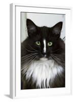 Norwegian Forest Black and White-null-Framed Photographic Print