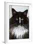 Norwegian Forest Black and White-null-Framed Photographic Print