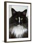Norwegian Forest Black and White-null-Framed Photographic Print