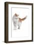 Norwegian Forest Cat-Fabio Petroni-Framed Photographic Print