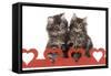 Norwegian Forest Kitten Sitting Behind Cut Out Hearts-null-Framed Stretched Canvas