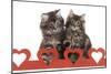 Norwegian Forest Kitten Sitting Behind Cut Out Hearts-null-Mounted Photographic Print