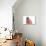 Norwegian Forest Kitten Sitting Beside Red-null-Photographic Print displayed on a wall