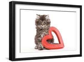 Norwegian Forest Kitten Sitting Beside Red-null-Framed Photographic Print