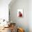 Norwegian Forest Kitten Sitting with Red Cut-Out Heart-null-Stretched Canvas displayed on a wall